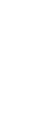 「特別じゃない」ことが「特別」に。